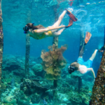 snorkeling raja ampat