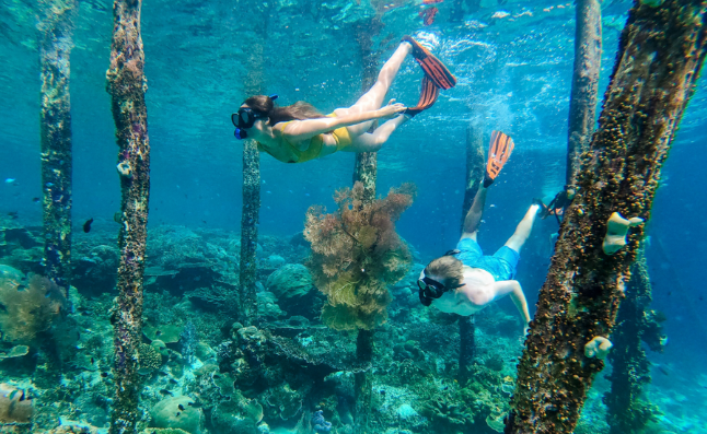 Snorkeling Seru di Raja Ampat, Surga Bawah Laut