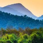 wisata alam hutan tropis