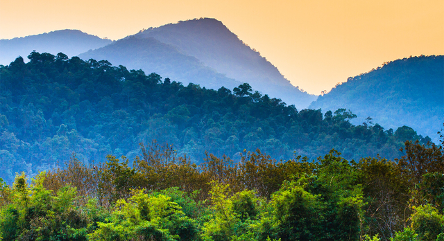 Wisata Alam Hutan Tropis yang Menyegarkan Jiwa