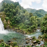 Harmoni Hutan Sungai dan Air Terjun