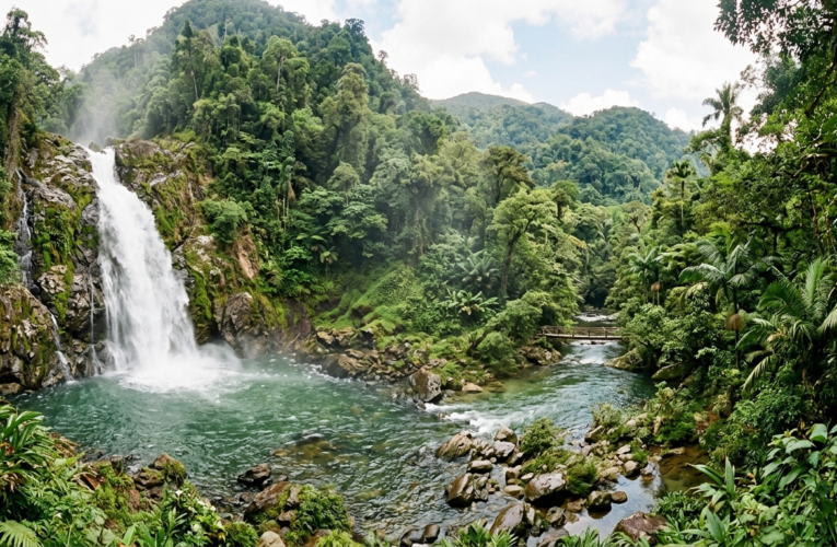 Harmoni Hutan, Sungai, dan Air Terjun dalam Menjaga Kehidupan